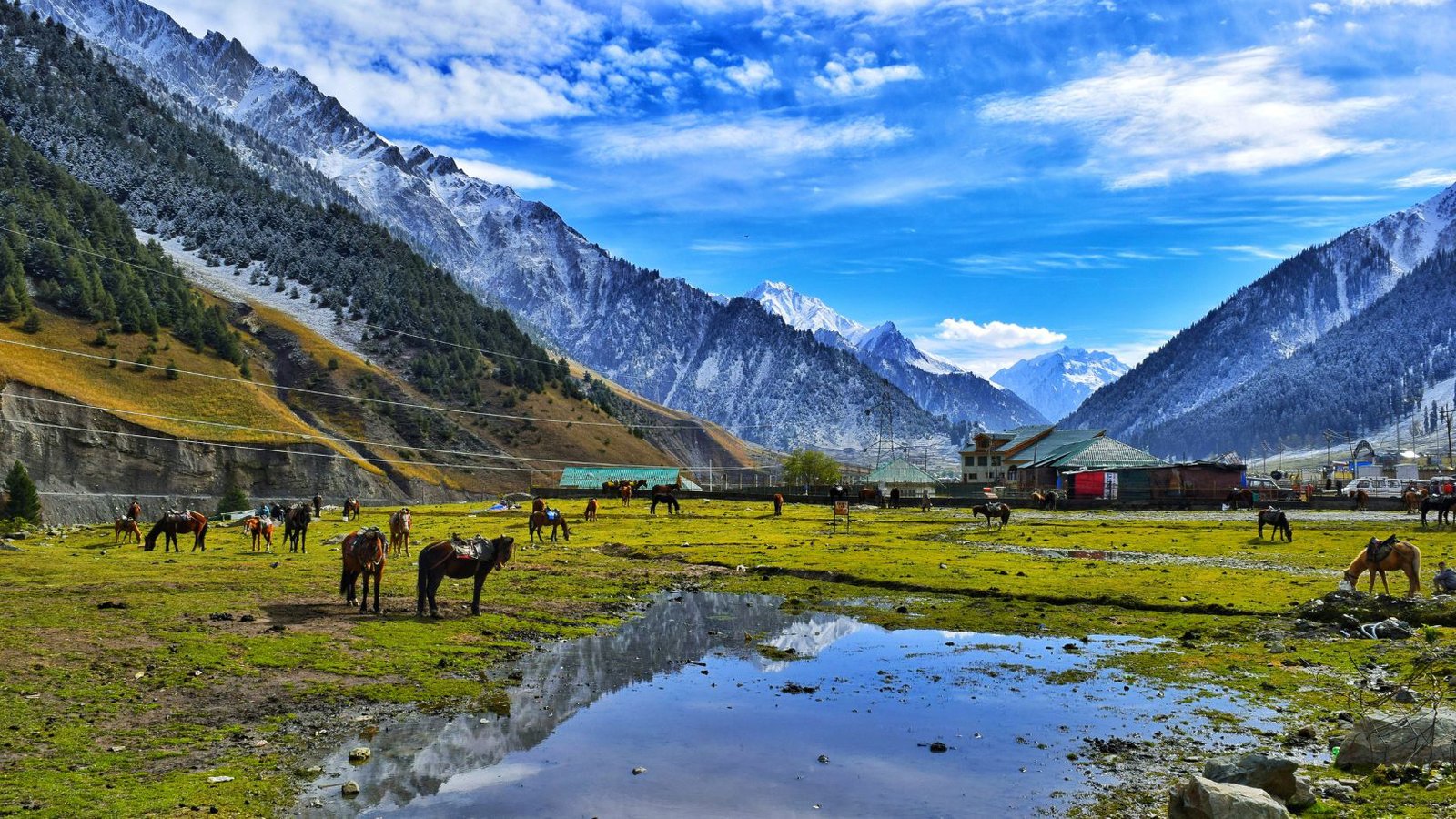 Pristine Puga Valley, Ladakh - Unique places to visit in India