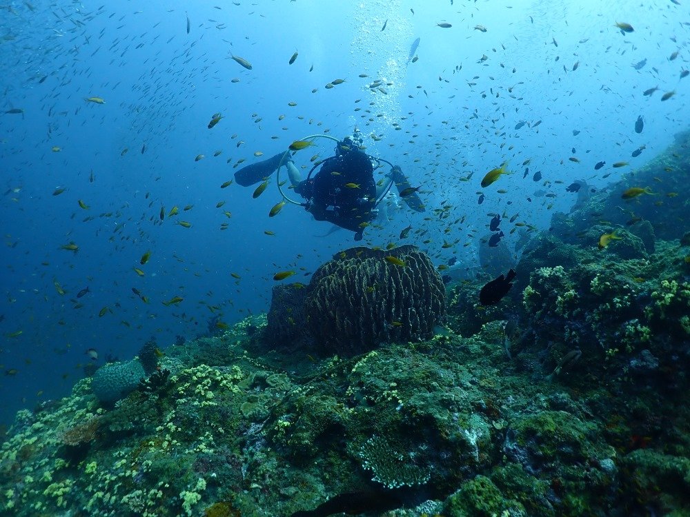 Scuba Diving, Puducherry