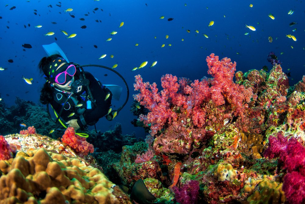 Scuba Diving, Andaman