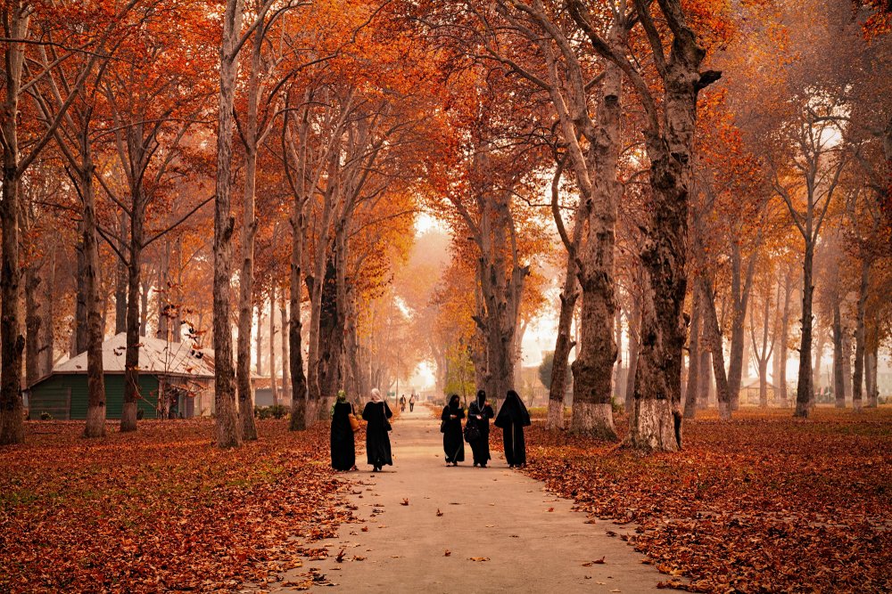 Autumn season in Kashmir