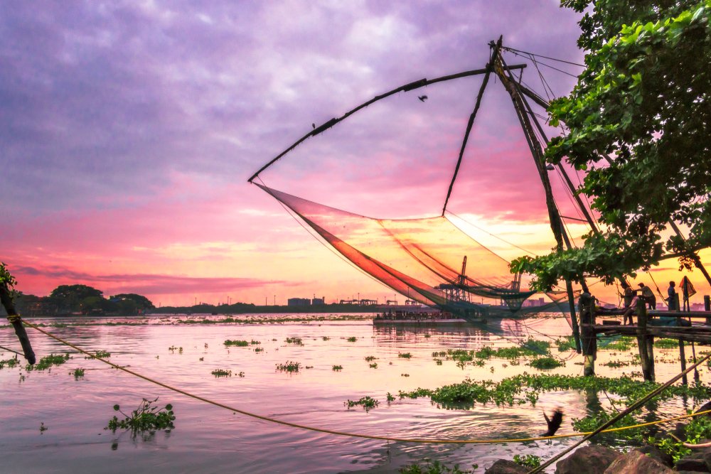 Fish nets kochi