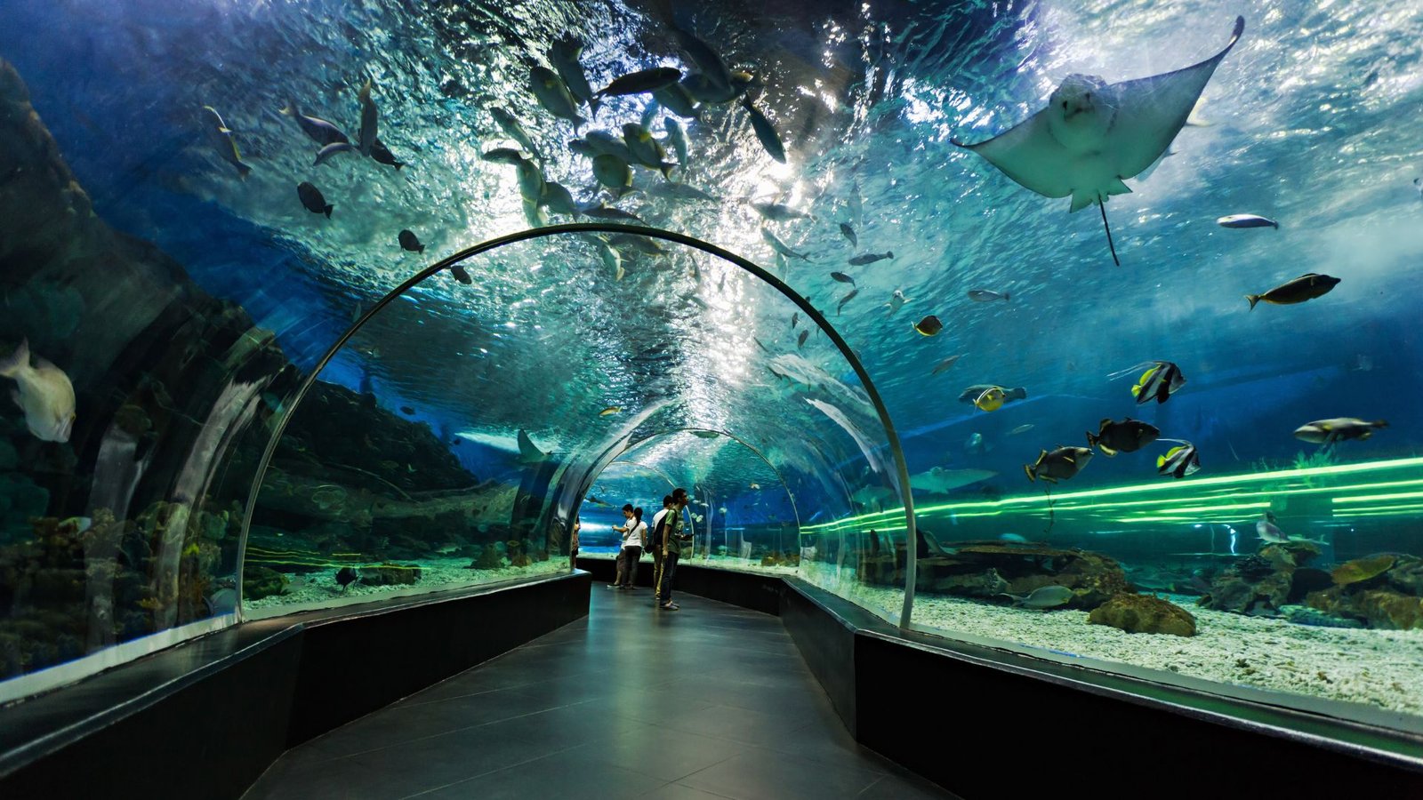 S.E.A Aquarium, Singapore