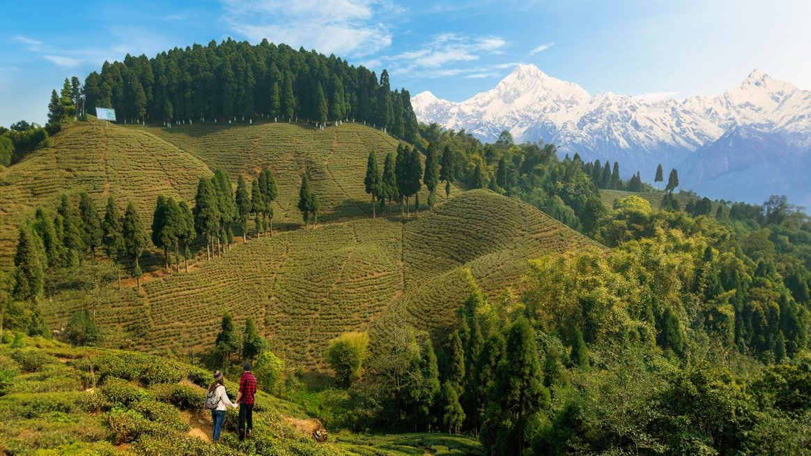 A couple drinking tea in Darjeeling