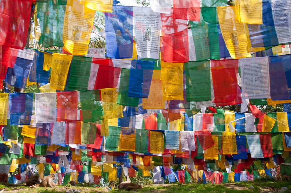 Tibetan Culture, Darjeeling