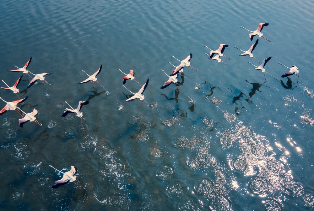 Water sports at Water Bird Water Sports, Rameshwaram