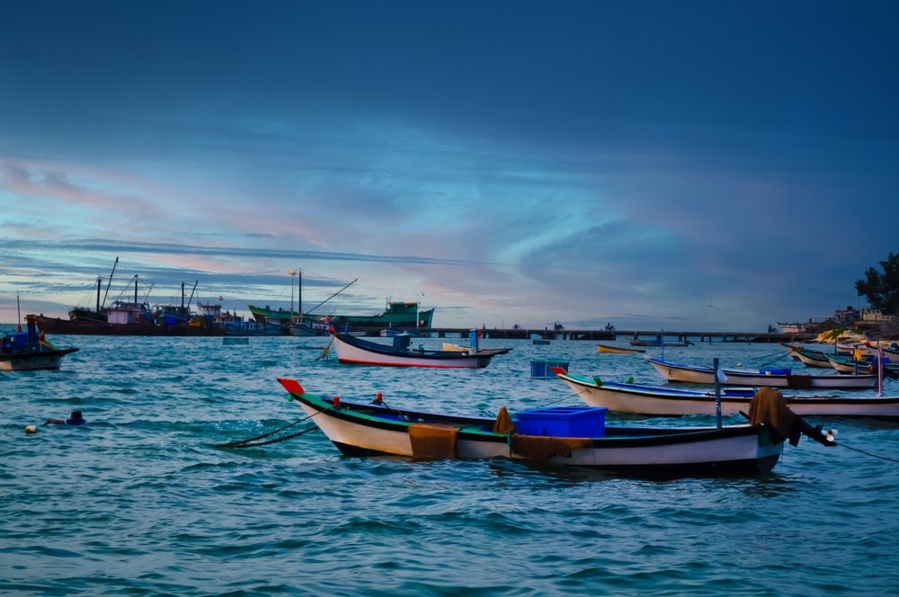 Fishing Excursions, Lakshadweep