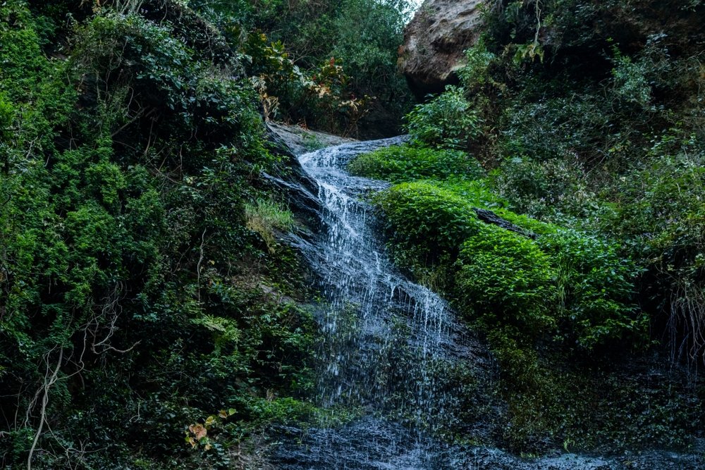 Chadwick Falls, Shimla