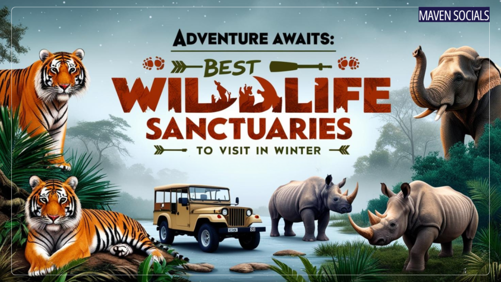 Wildlife Sanctuaries in India, Winter Safaris India, Best Wildlife Sanctuaries, Top Wildlife Places to Visit in Winter, Jim Corbett National Park, Ranthambhore National Park, Sundarbans National Park, Kaziranga National Park, Periyar Wildlife Sanctuary