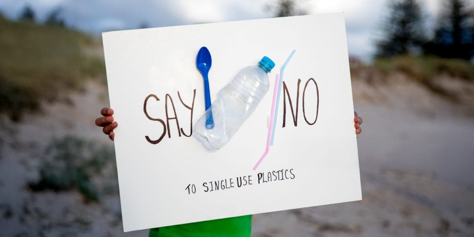 no plastics