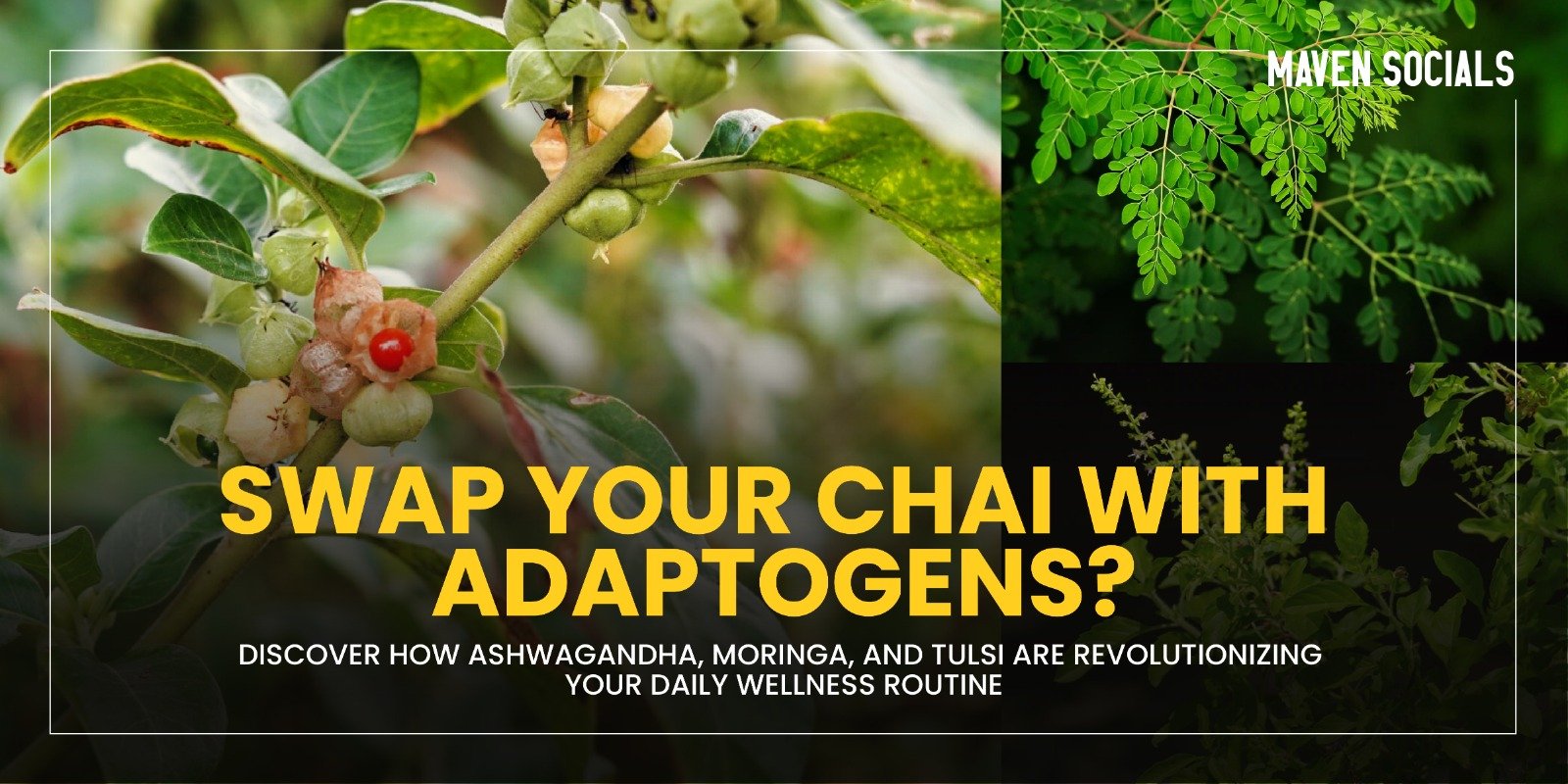 Swap Your Chai with Adaptogens? Discover How Ashwagandha, Moringa, and Tulsi Are Revolutionizing Your Daily Wellness Routine
