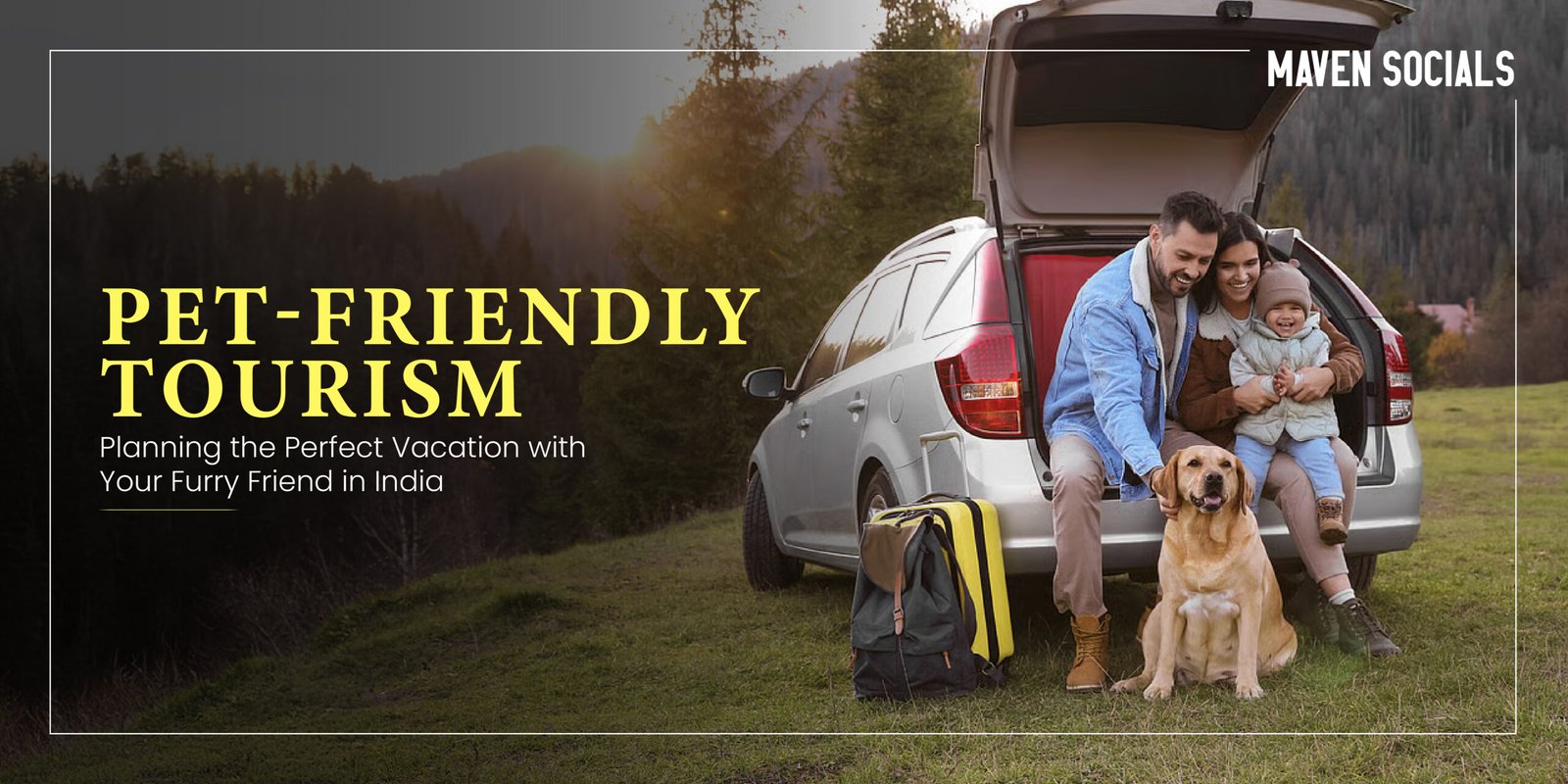 Pet-Friendly Tourism: Planning the Perfect Vacation with Your Furry Friend in India